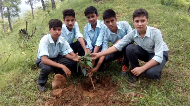 Plantation Amroh Hamirpur on 14th August 2016