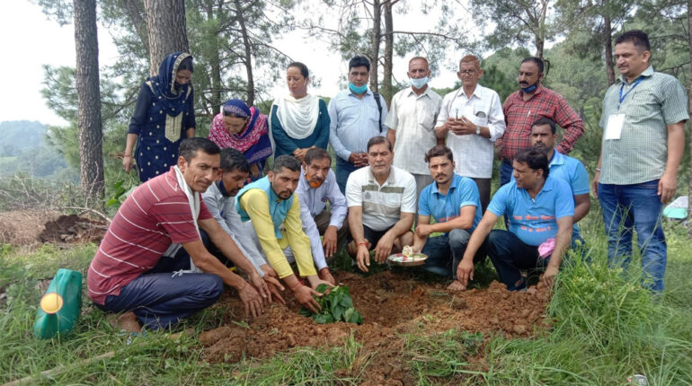 Plantation Programme on 14th August 2021