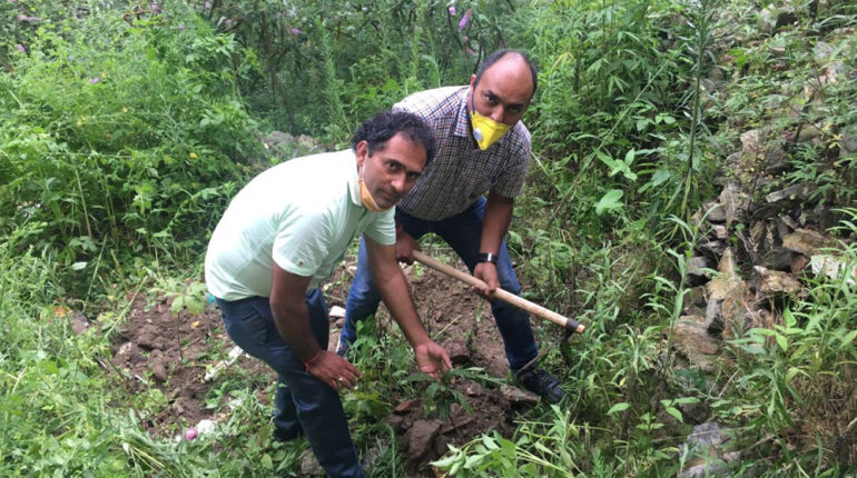 Plantation Campaign on August 15, 2020