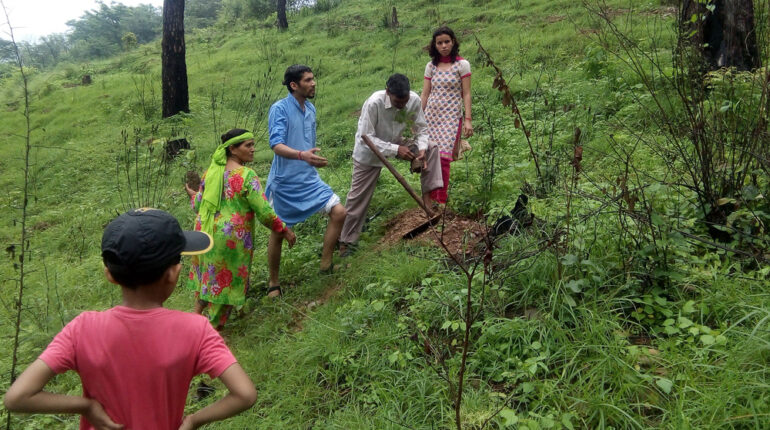 Plantation at Amroh Hamirpur on 15th August 2015