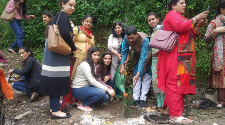 Plantation at Shimla on 14th August 2019